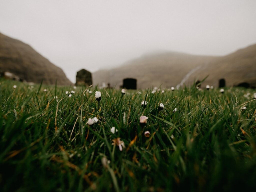 Photo Cemetery